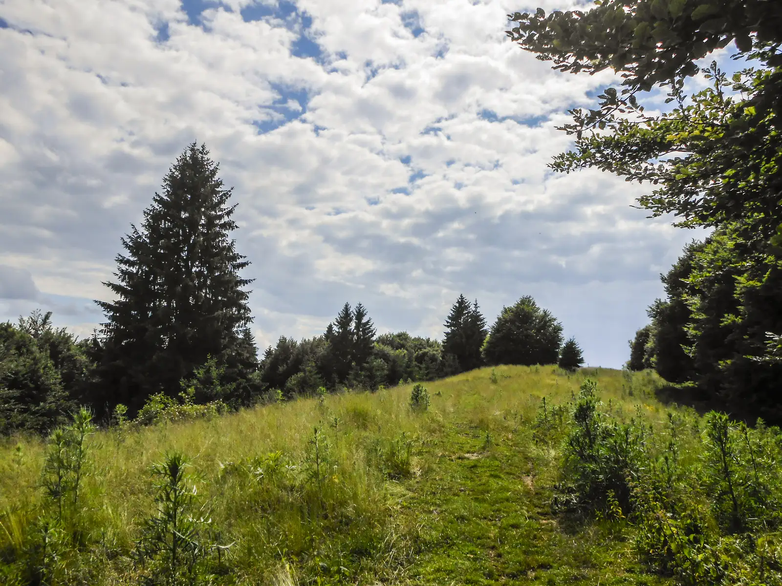 Sinaia - Vf. Piscul Câinelui