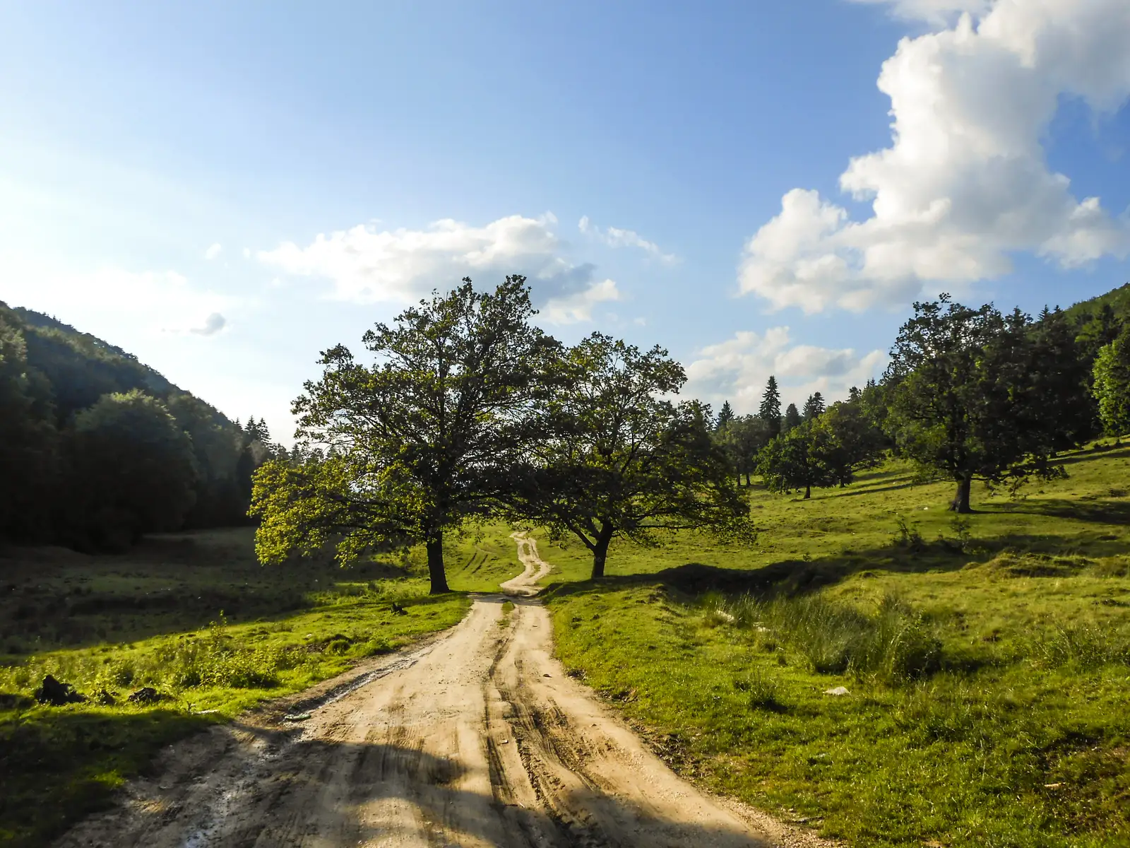 Cristian - şaua dintre Râşnov şi Poiana Braşov - Poiana Braşov