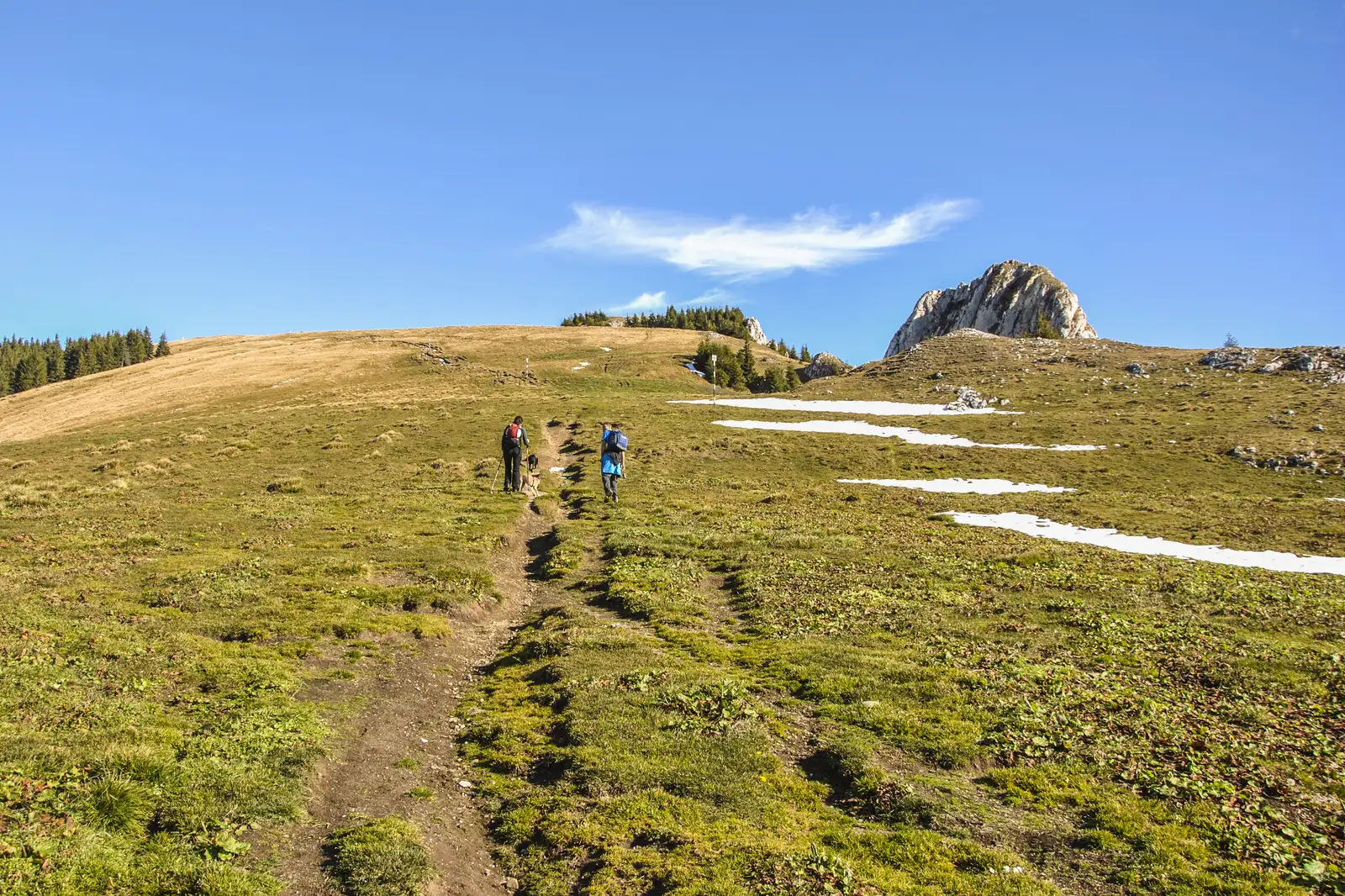 Predeal - Şaua Pietricica - sub Vf. Piatra Mare