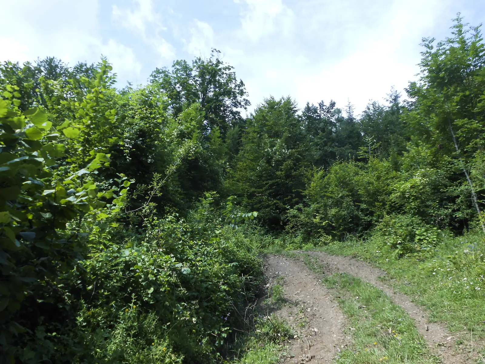 Staţie curent Posada - spre fosta Cabană Florei