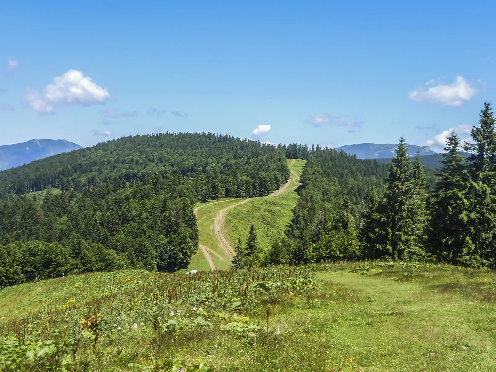 Predeal - Cabana Gârbova - Azuga