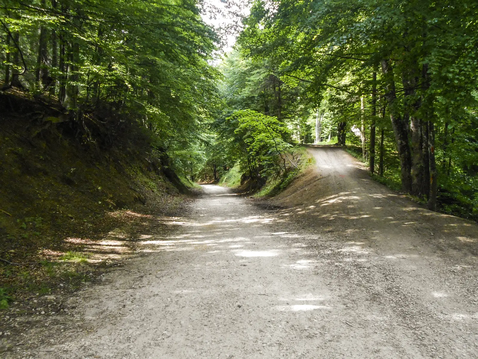 Braşov (Pietrele lui Solomon) - Poiana Braşov (Drumul Vechi)