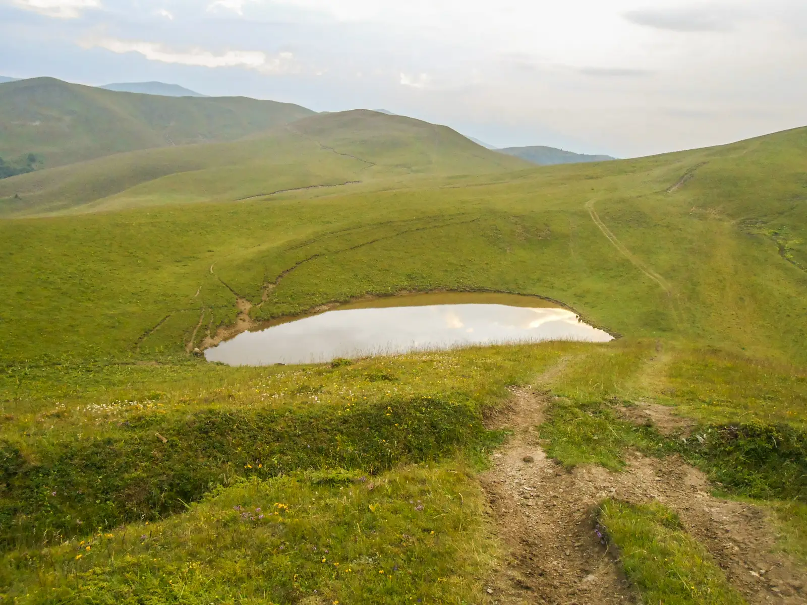 Buşteni - Orjogoaia - Trăisteni