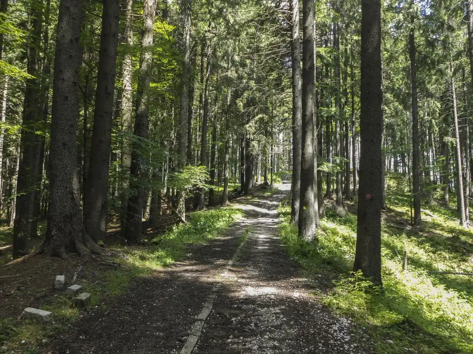 Azuga - Pastravaria Azuga - Clabucetul Azugii - Cabana Susai - Predeal