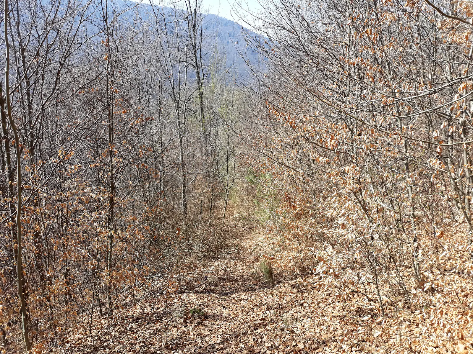 variantă de scurtare a unei serpentine a traseului BR