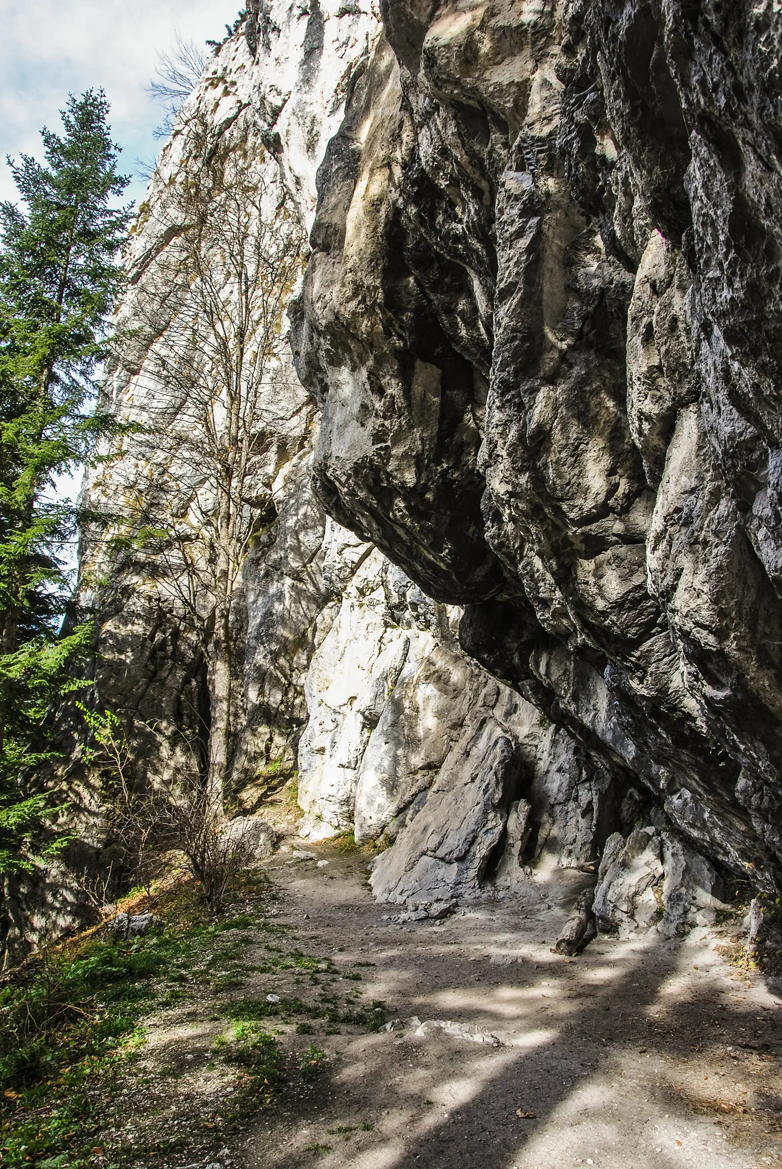 Sub intrare Canion 7 Scări - Prăpastia Urşilor - Drumul Familiar