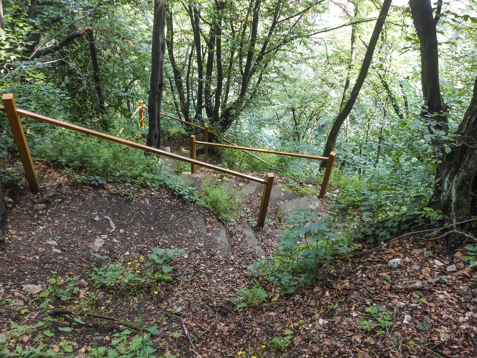 Braşov - Vf. Tâmpa - V. Cetăţii