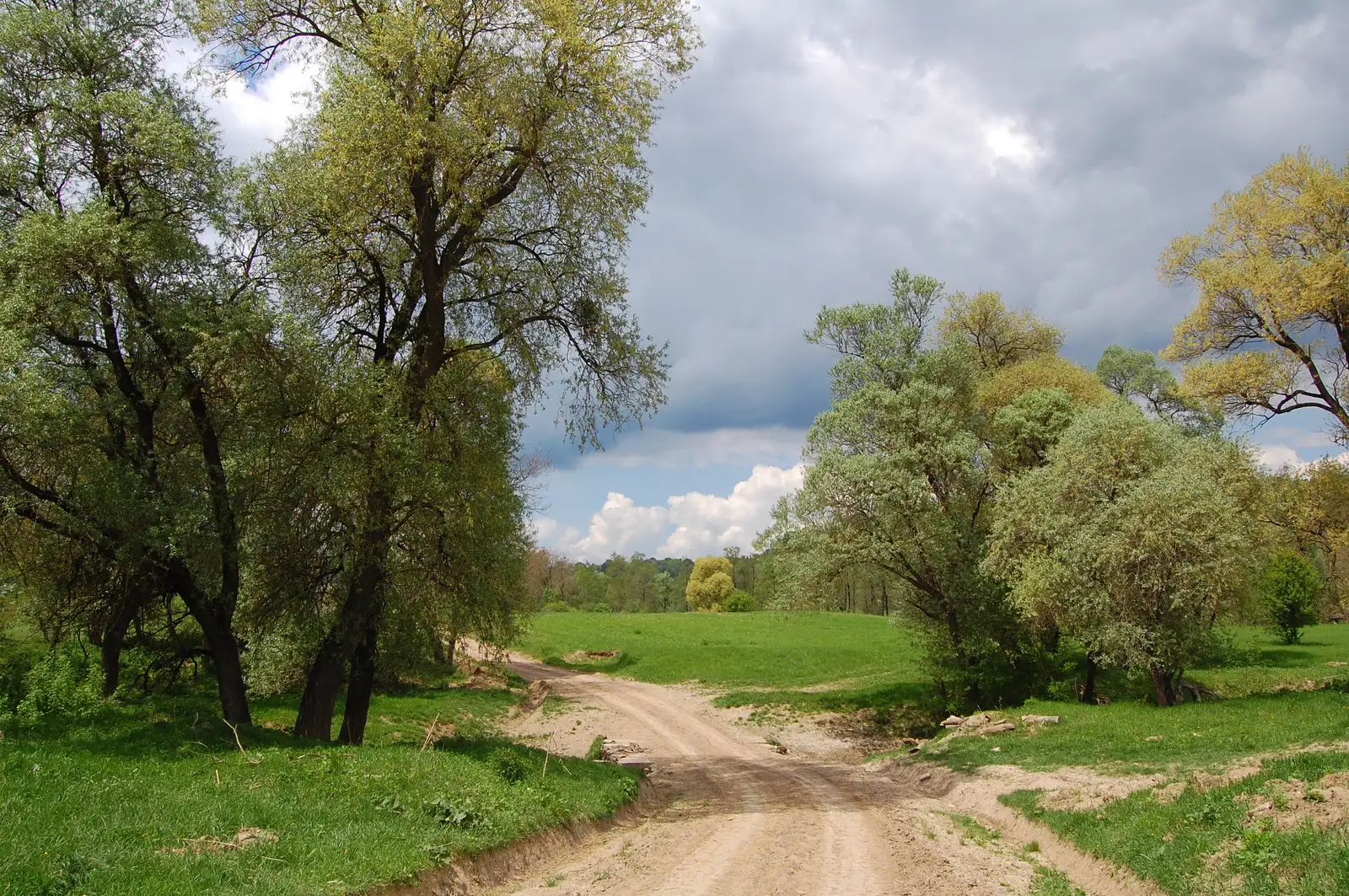 Făgăraş - Dealul Şonii - Movilele de la Şona - Făgăraş