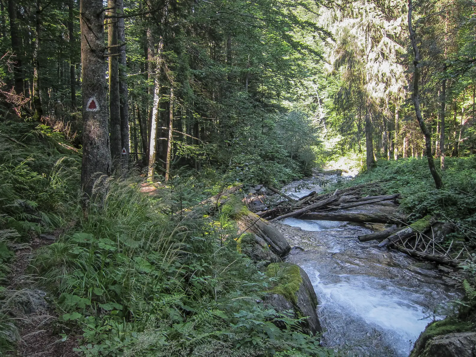 Breaza - V. Pojorta - fosta Cabană Urlea