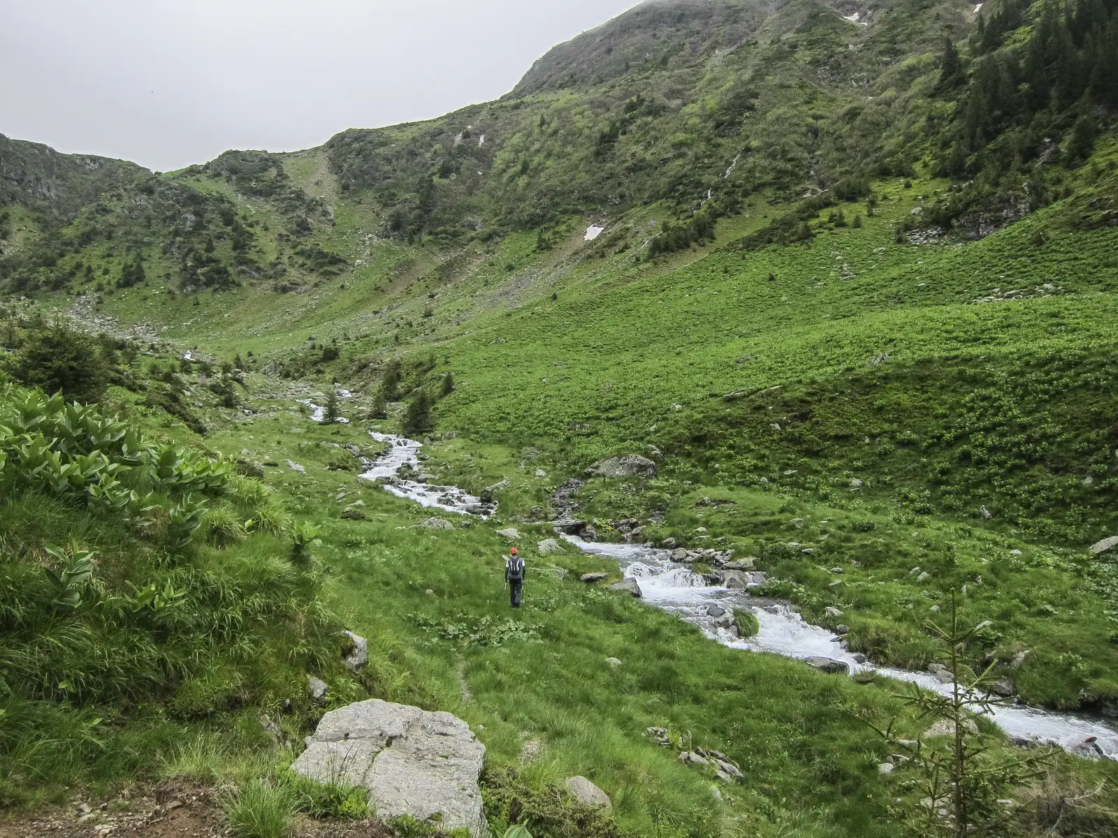 Cabana Bârcaciu - L. Avrig