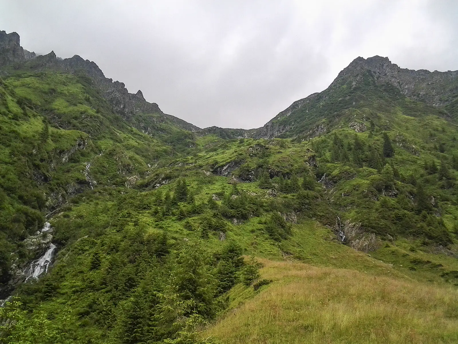 Şaua dintre Lacuri - L. Podrăgel - Gura Podragului