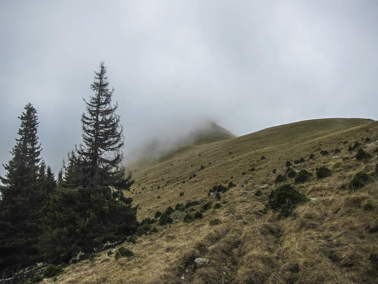 Cabana Voina - Şaua Argeşel - Vf. Broaştei - V. Dâmboviţei