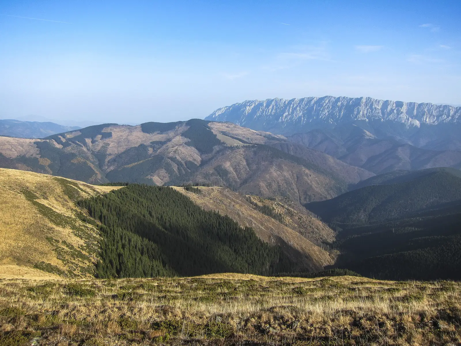 Cabana Voina - Vf. Păpuşa - M. Dracsin - V. Dâmboviţei