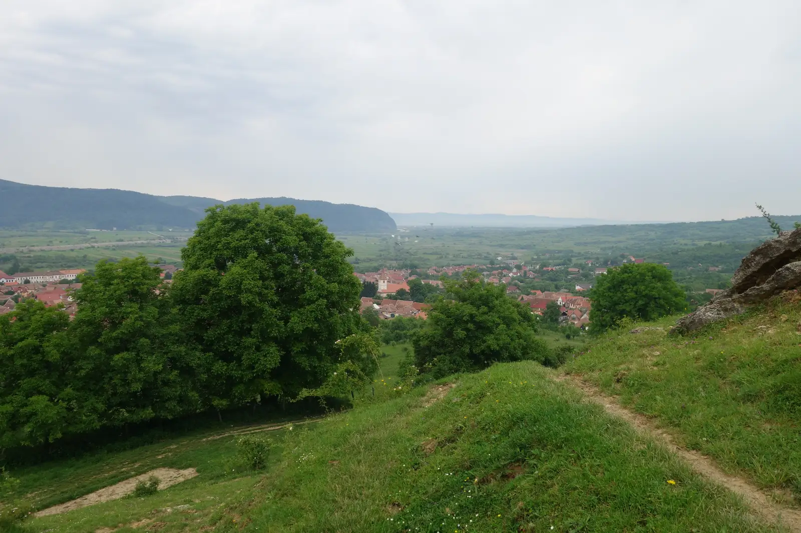 Turnu Roşu - Dl. Frasinul - Culmea Pietriceaua (traseul CR)