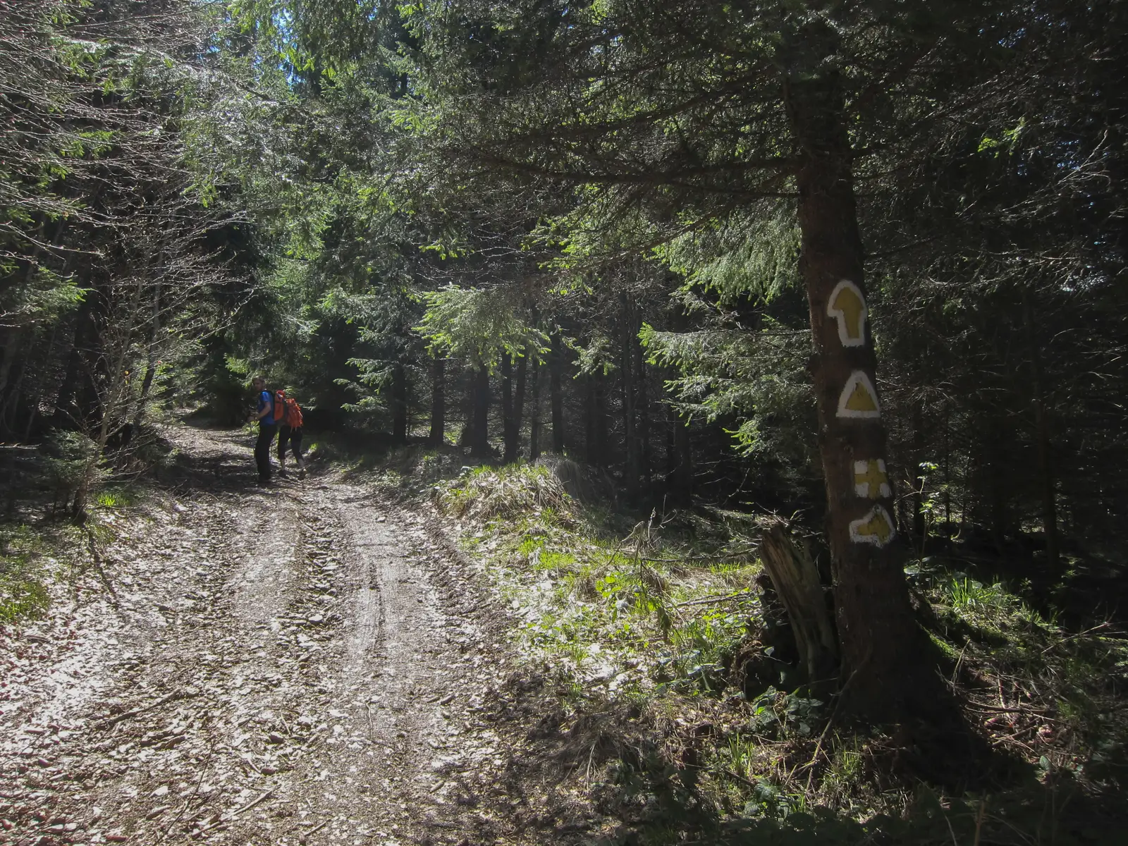 V. Sebeşului - Şaua Nămăii - Cantonul Rudăriţa