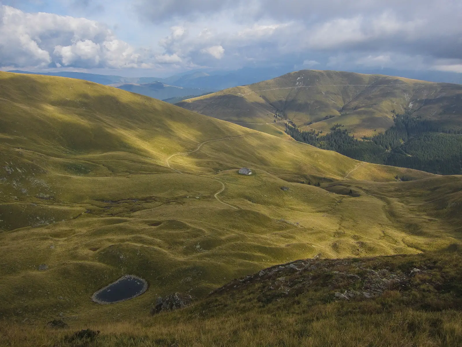 Nucşoara - Curmătura Maliţei - Vf. Moldoveanu