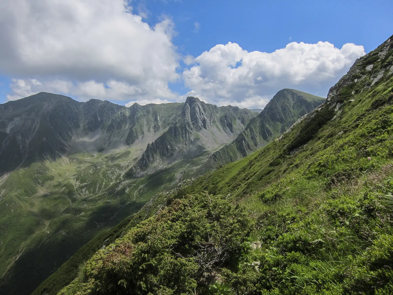 Păstrăvărie - Muchia Drăguşului 
