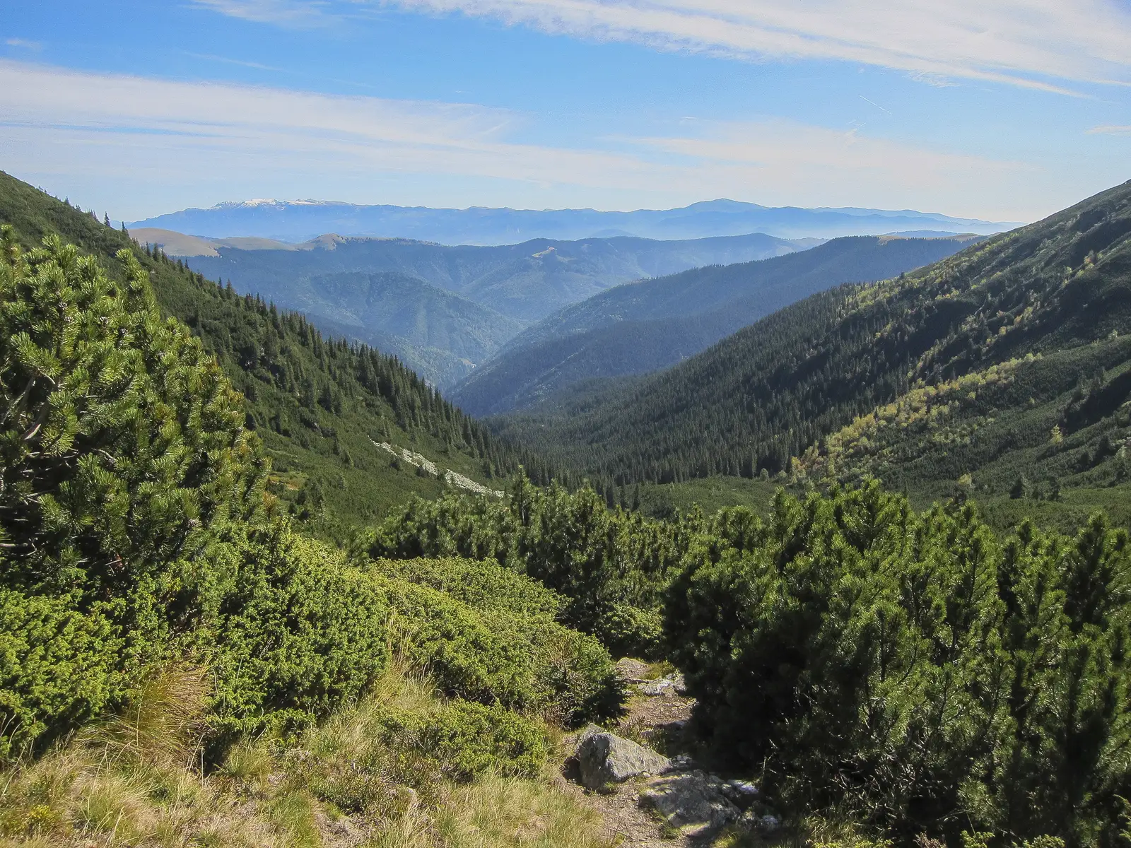 Cabana Voina - Refugiul Iezer - L. Iezer - Crucea Ateneului