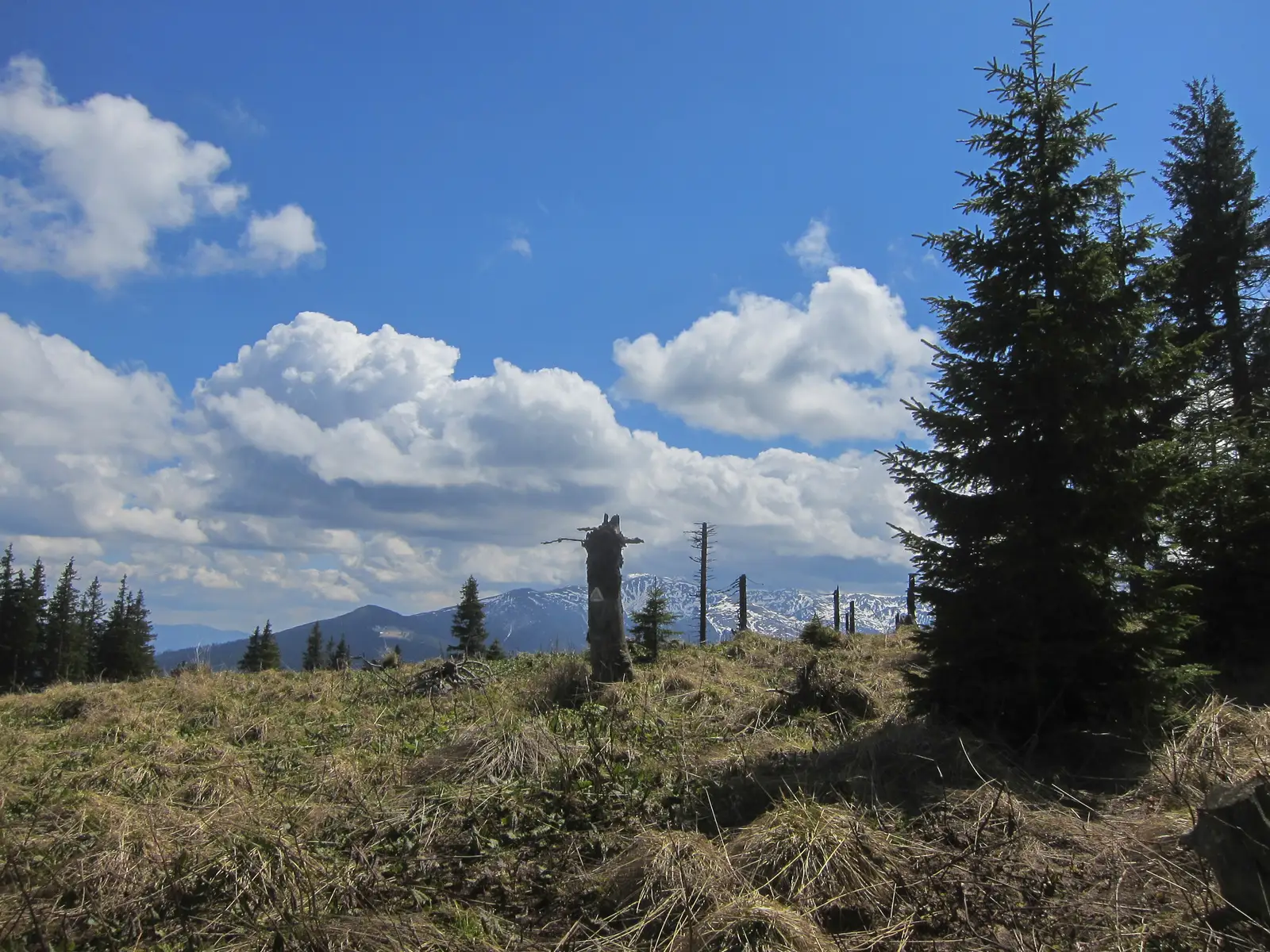 Mărgineni - Vf. Nămaia - Vf. Văcarea Mare - sub Vf. Comisu