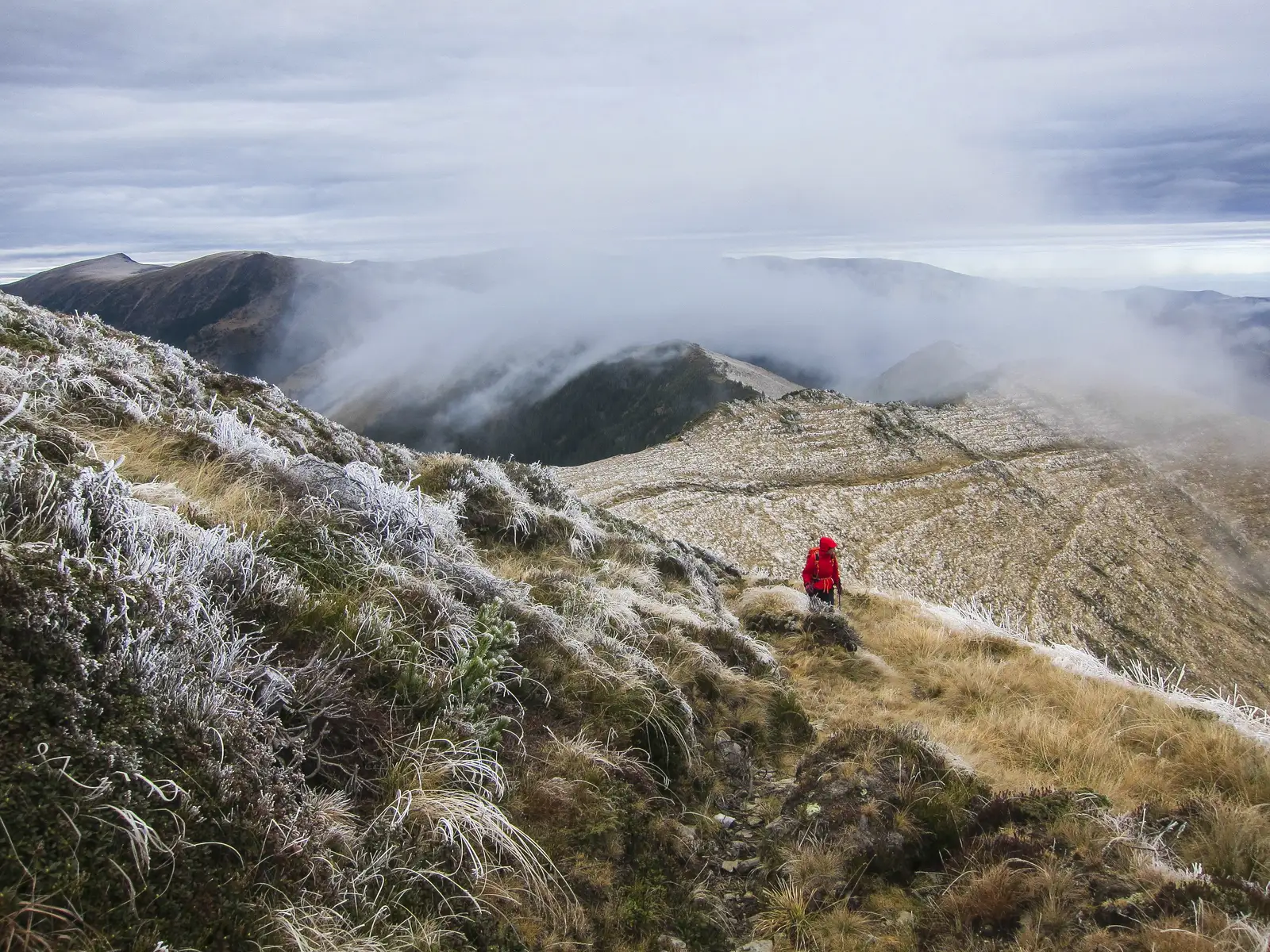 Curmătura Brătilei - Curmătura Mezei - Vf. Roşu
