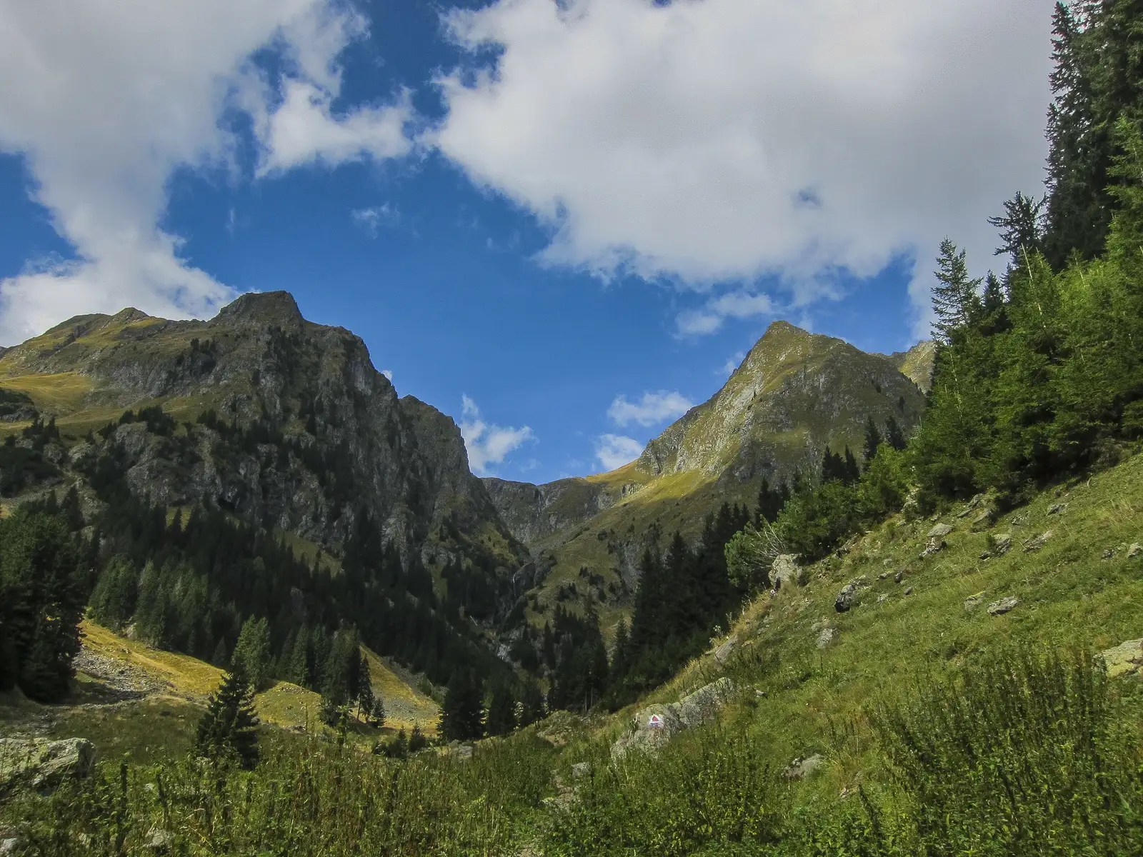 Nucşoara - V. Rea - Portiţa Viştei