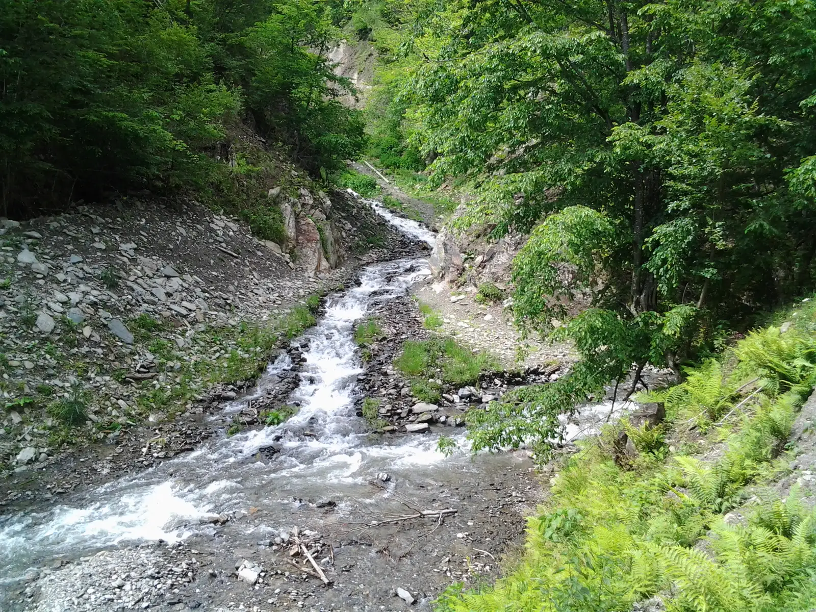 Câinenii Mici - V. Satelor - Plaiul Grebleşti