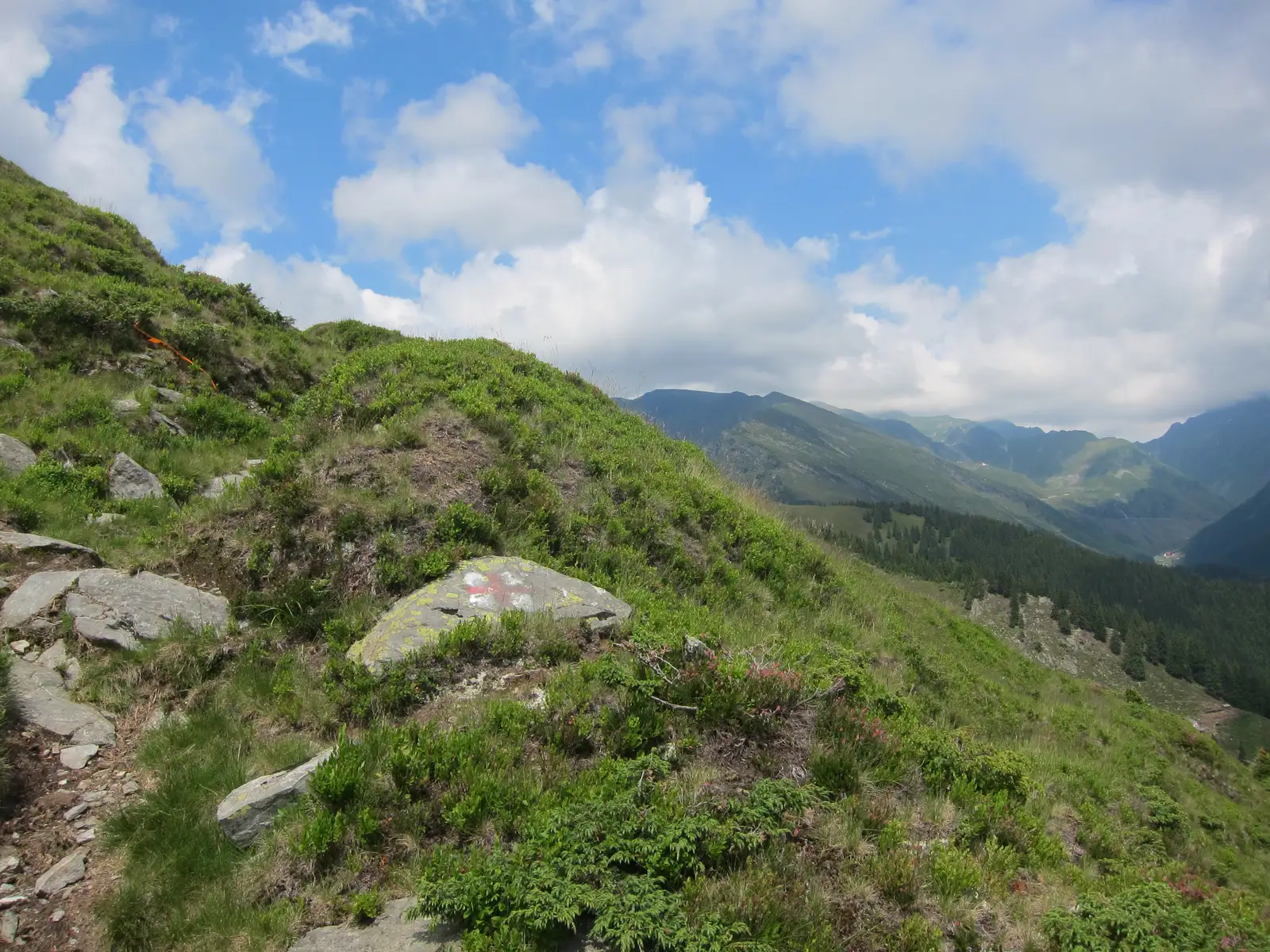 Complexul Turistic Piscul Negru - Stâna Lespezi - Şaua Podeanu