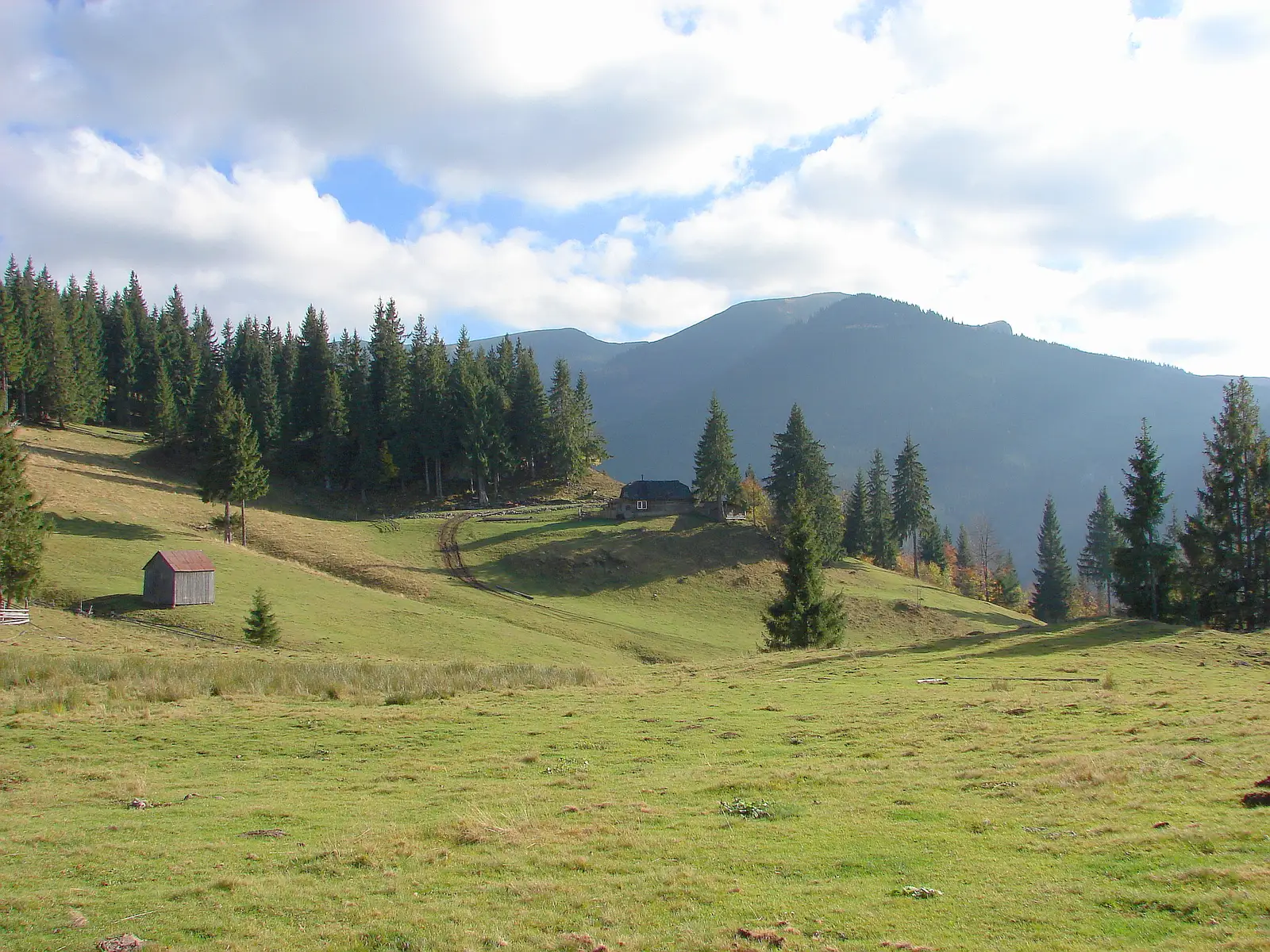 Șesuri - Cabana Fântâna Stanchii - Băile Borșa
