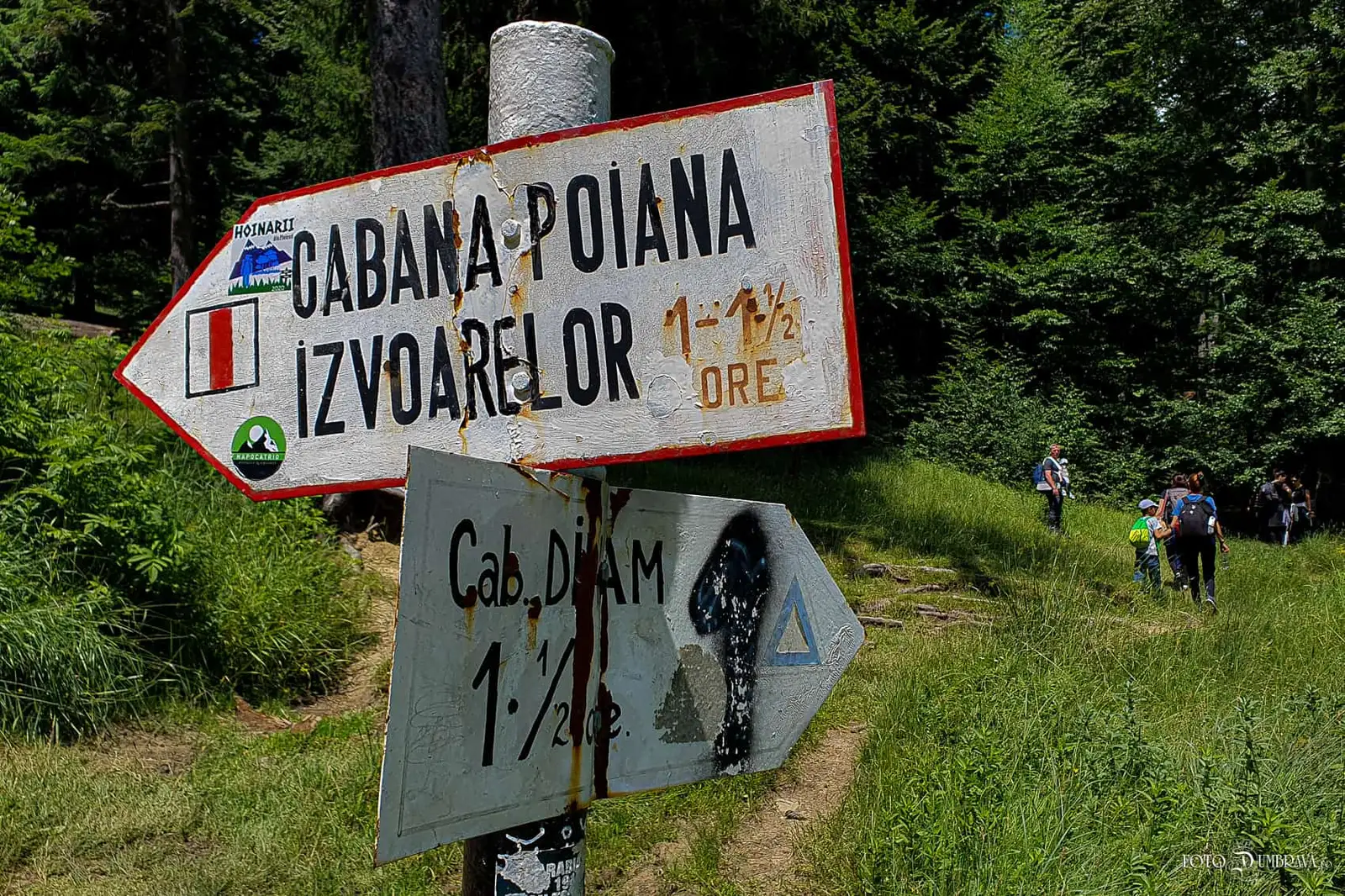 Gara Bușteni - Cabana Diham