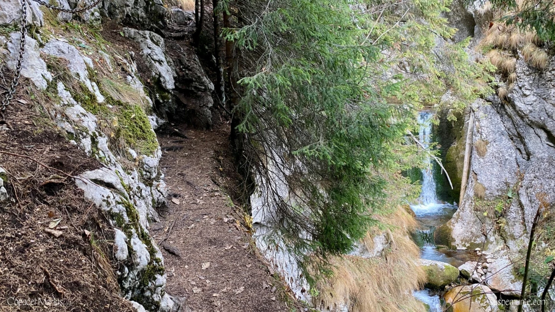 Padina - Canionul Horoabelor - Șaua Țapului - Vârful Bătrâna - Vârful Omu - Obârșia Ialomiței - Telecabina Peștera - Padina