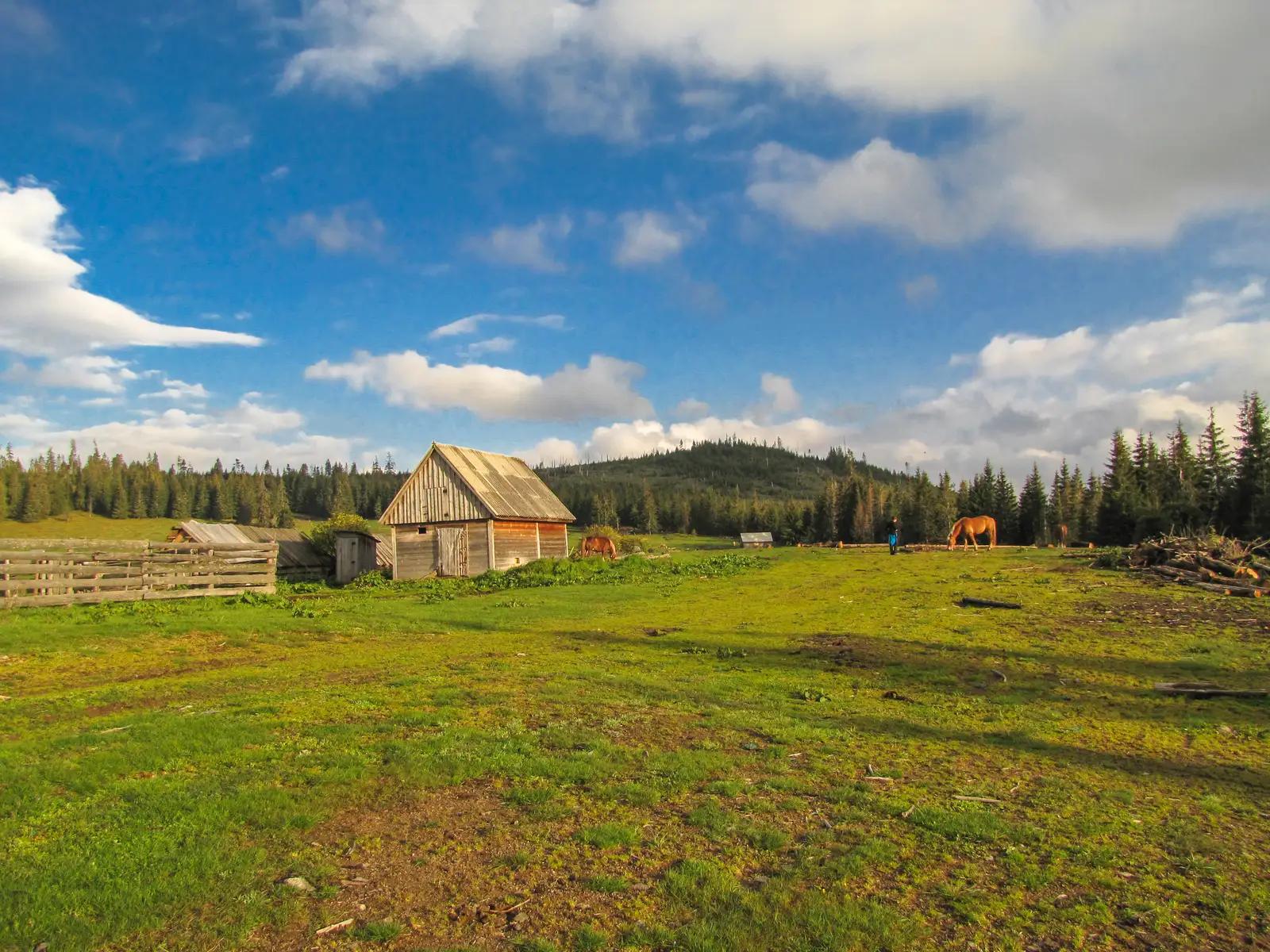 Măguri-Răcătău - Culmea Urășa - Muntele Smidele