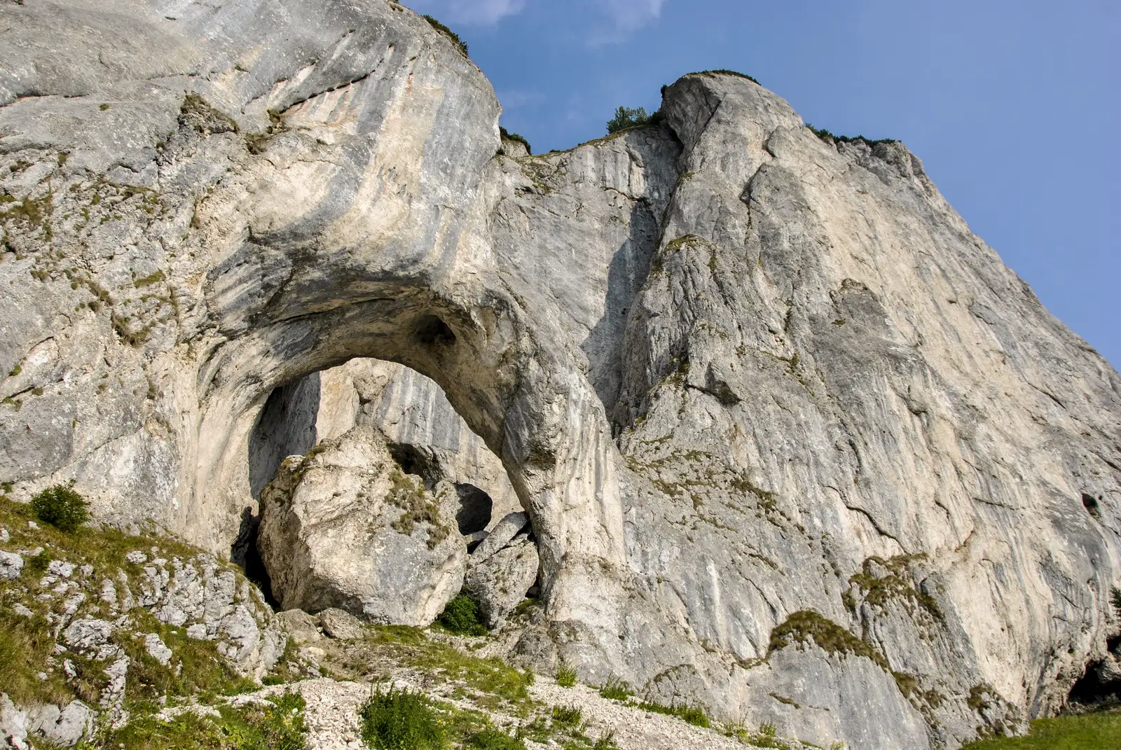 Cabana Plaiul Foii-Şaua Funduri-La Table