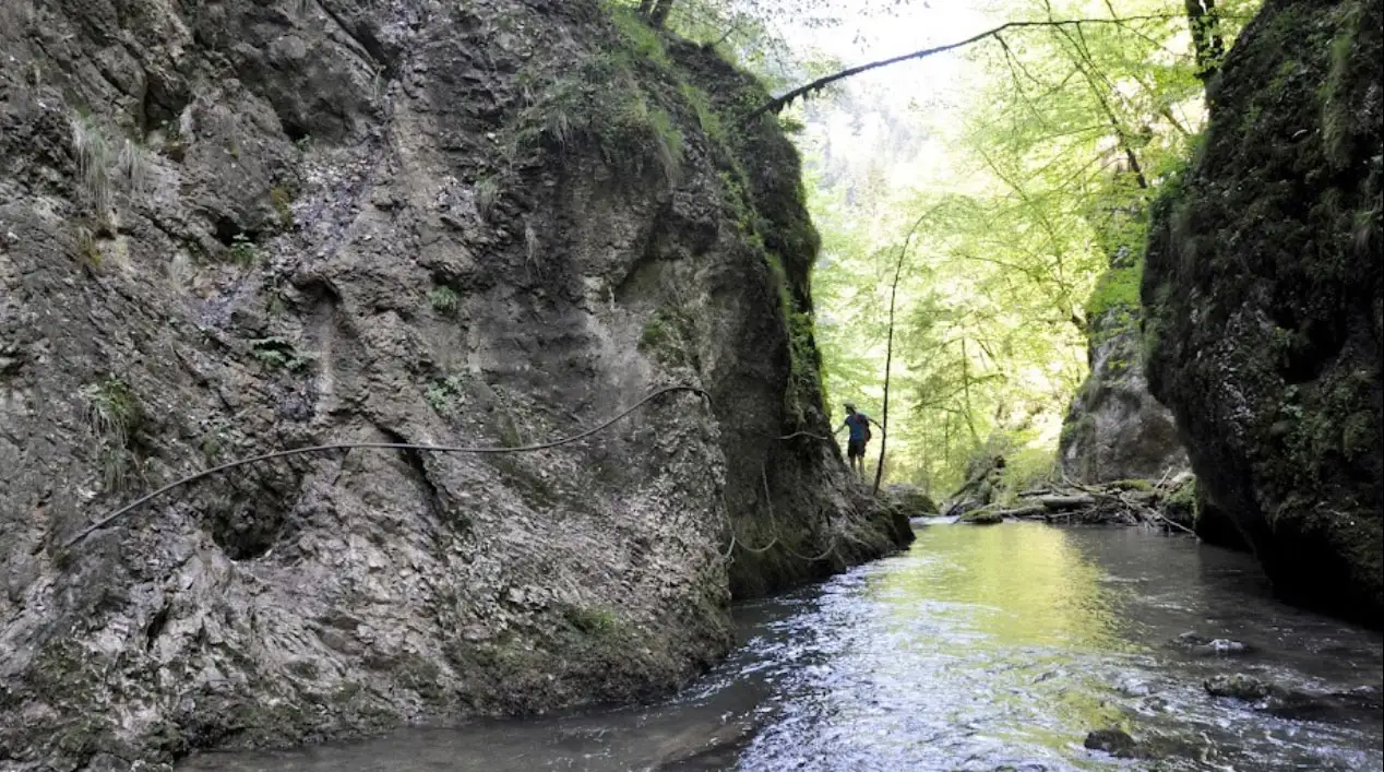 Circuit padis-cheile galbenei