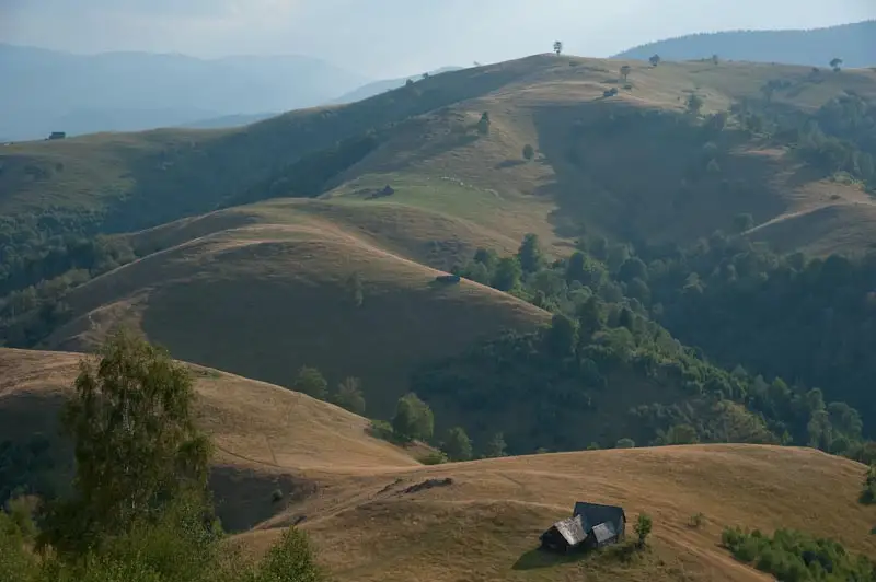 Circuit Rășinari (Valea Caselor) - Vf. Runcului (Dosu Albului) - Dealul Derjani 