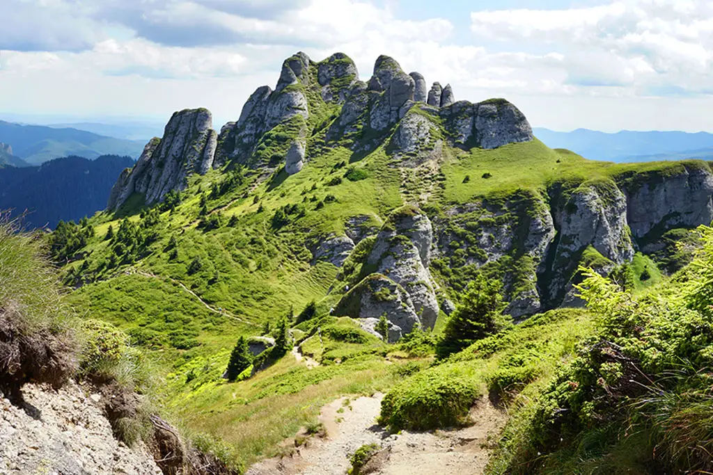 Valea Berii - Cabana Vârful Ciucaş (1595 m) - Vârful Ciucaş (1954 m)