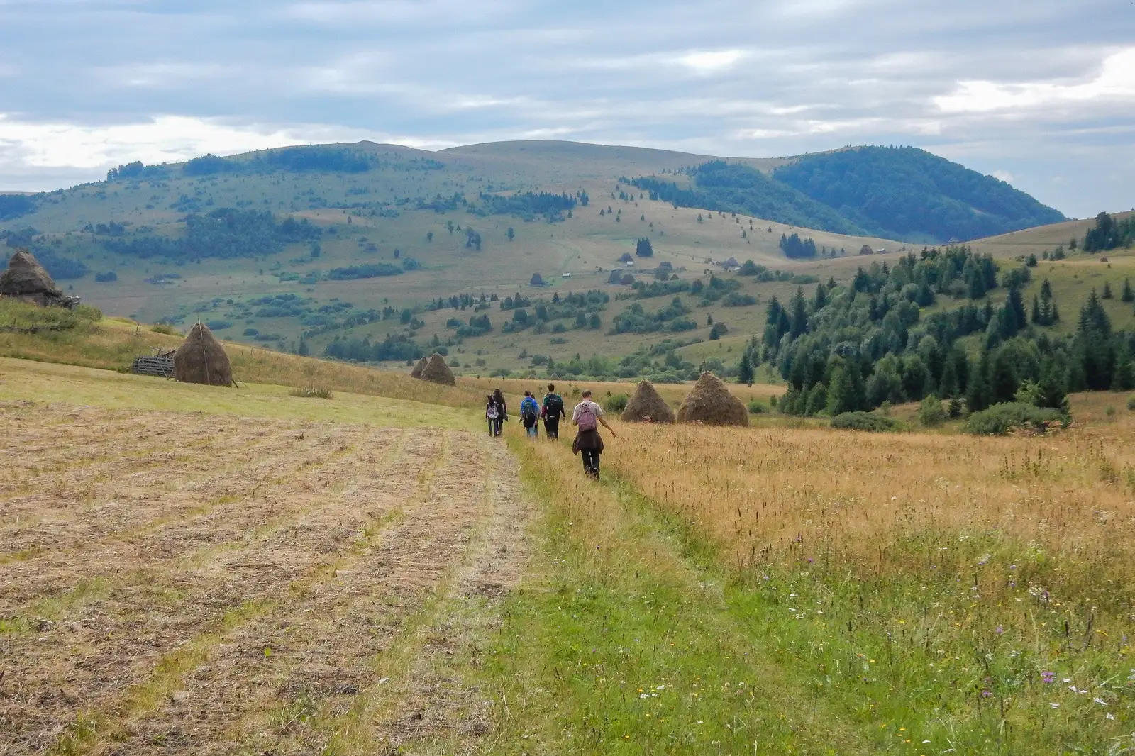 Staţiunea Muntele Băișorii - Rezervaţia Scăriţa Belioara - Runc