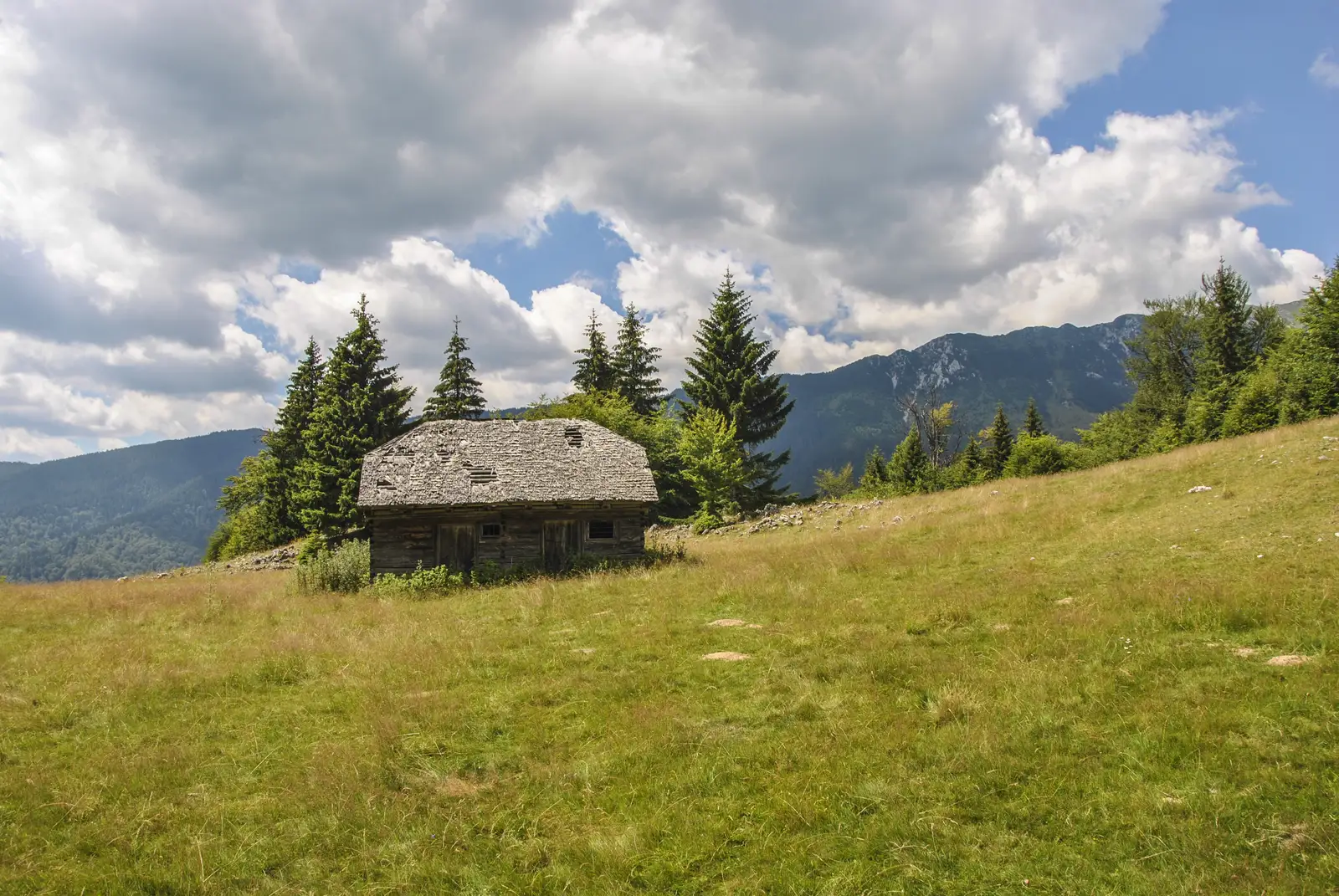 Ciocanu-Curmătura Groapelor-La Table