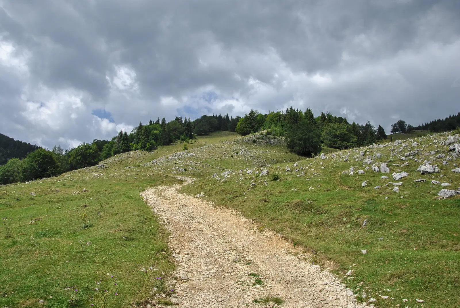 Cabana Curmătura-La Table-Şirnea-DN73