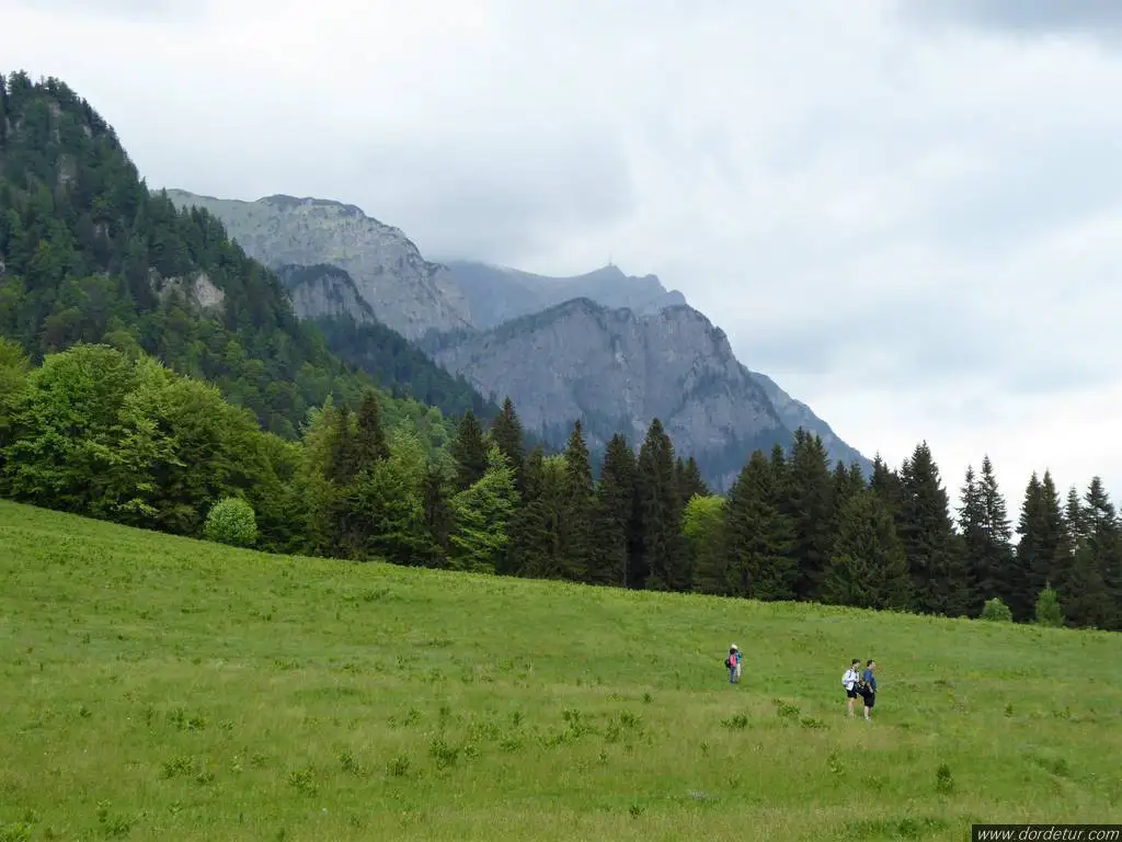 AMiHiKE cu AMiCUS Brasov