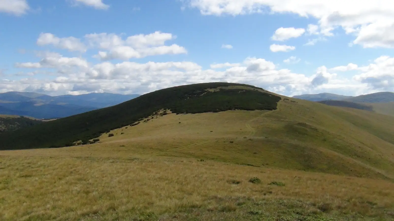 Vf. Bora de la Transalpina