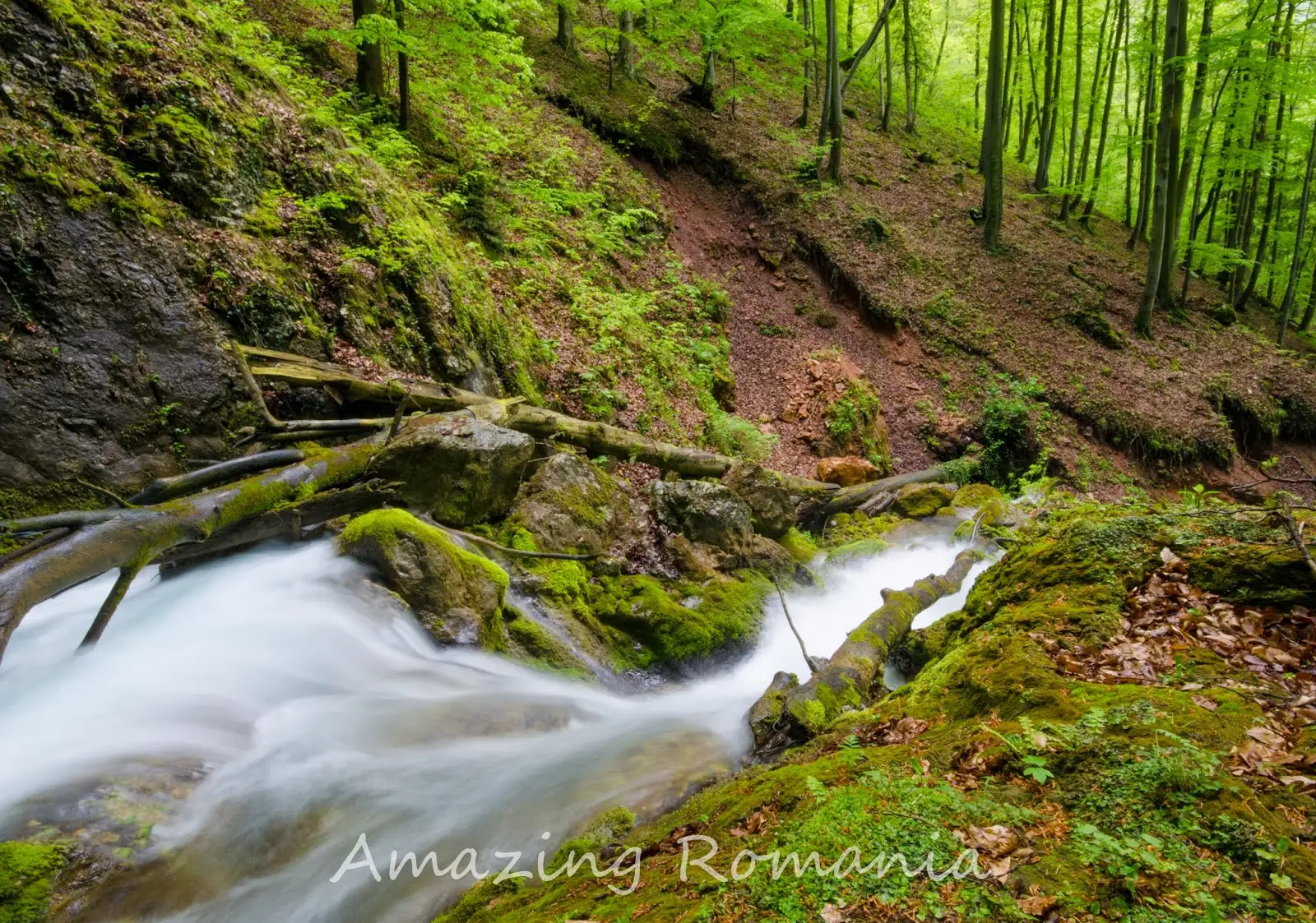 Cascadele Șipotului