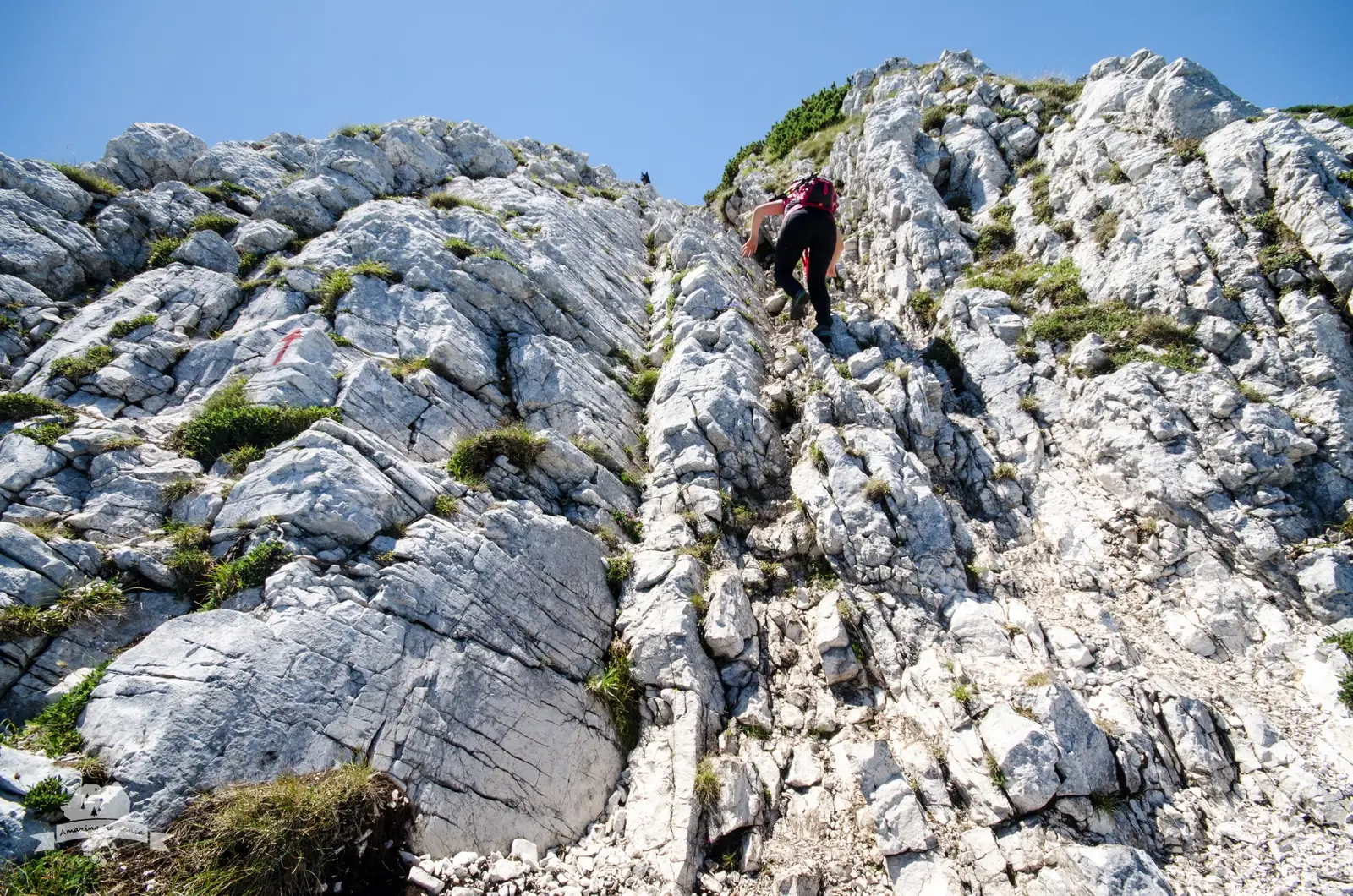 Nordica Pietrei Craiului: Vf. Turnu - Vf. Ascuțit via Șaua Crăpăturii