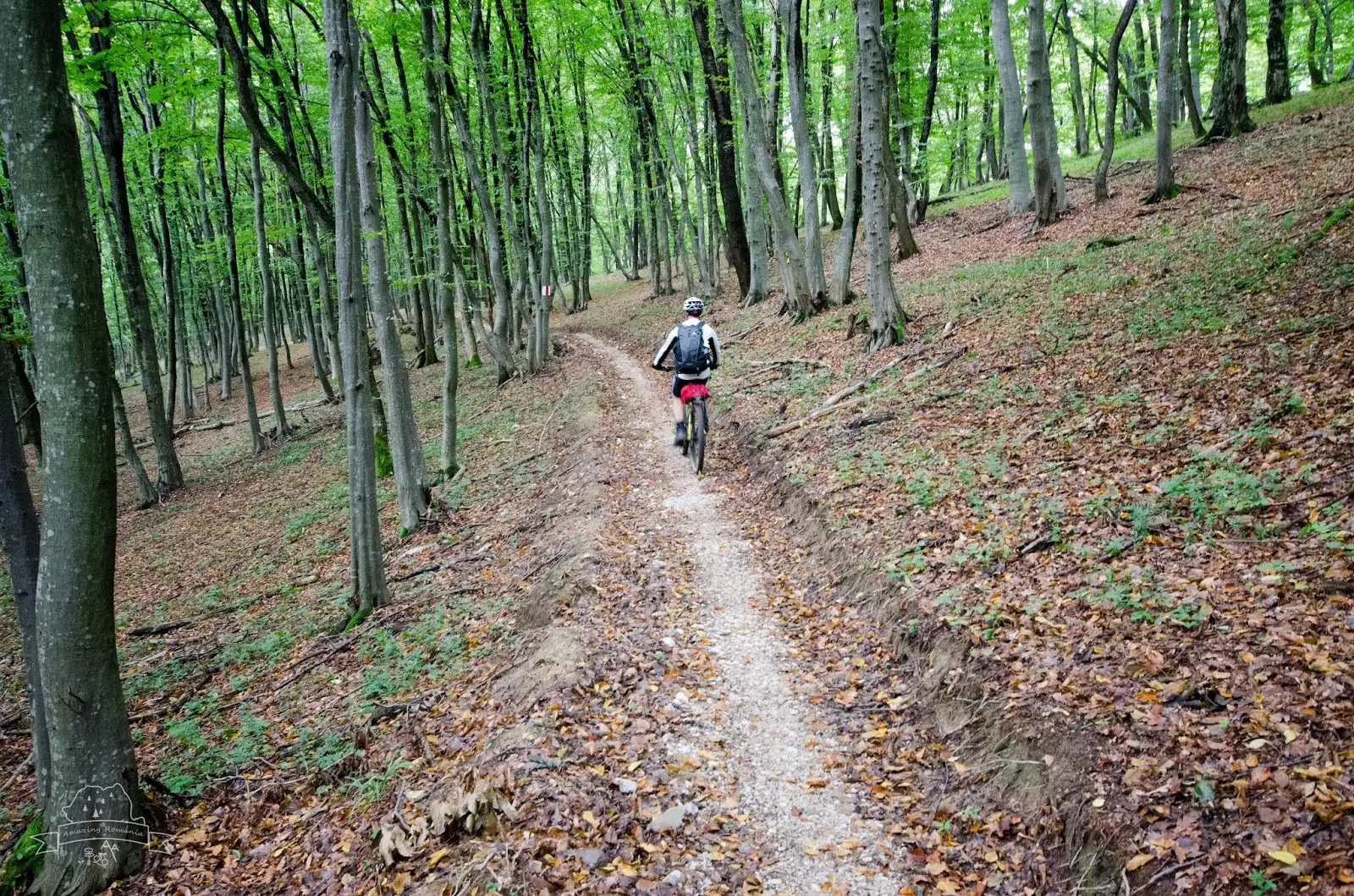 MTB prin Colinele Transilvaniei