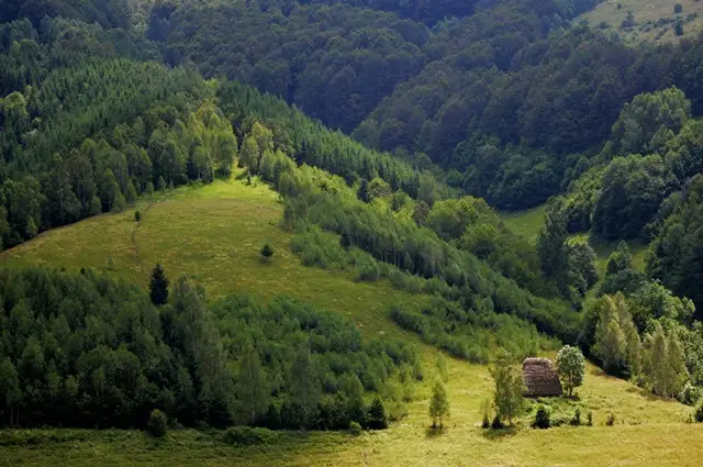 Circuit Muntele Găina