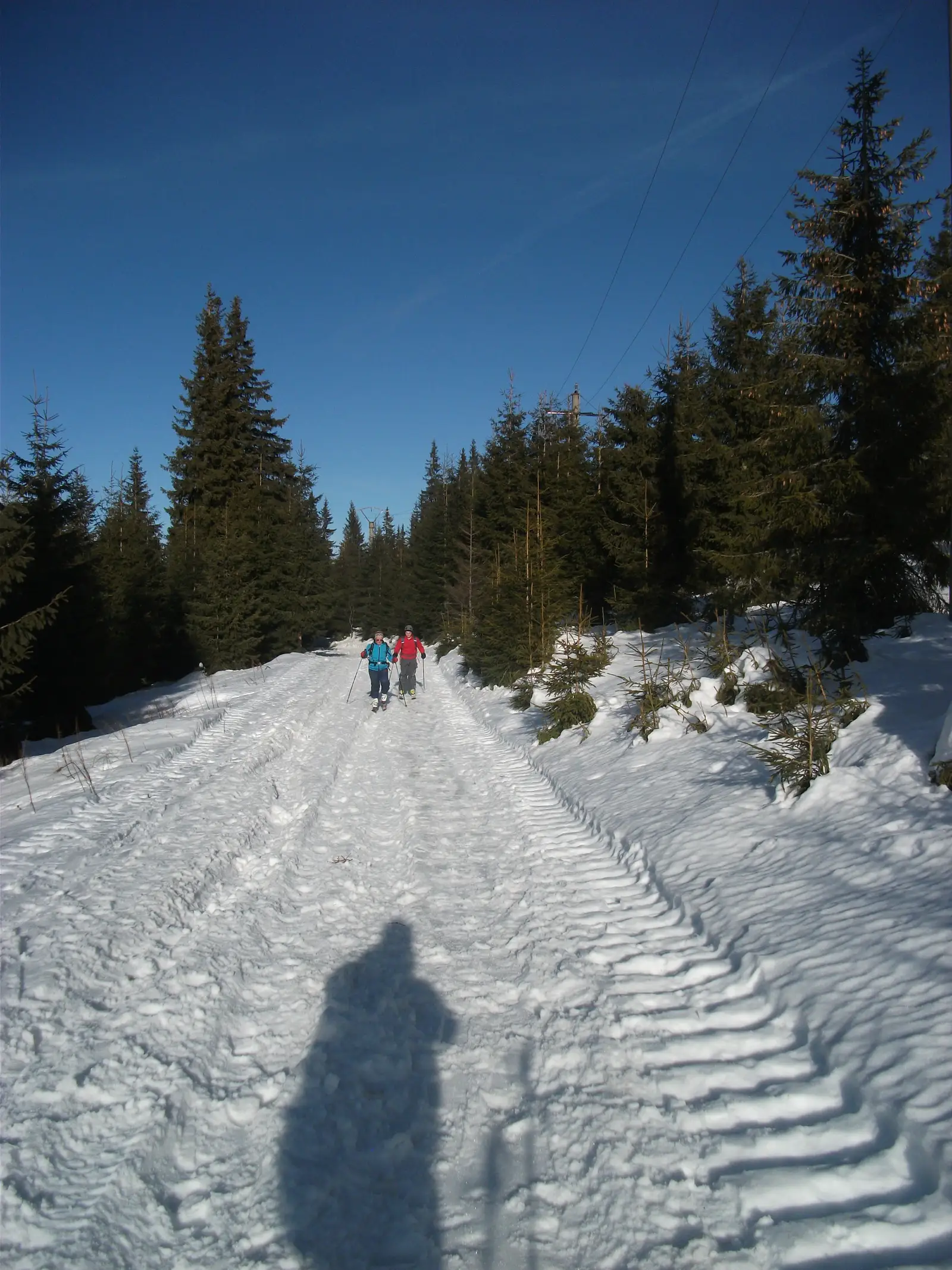 Muntele Baisorii ( La Cruce ) - Gera -  Saua La Plopis - Partia Baisoara - Valea Iertii - La Cruce