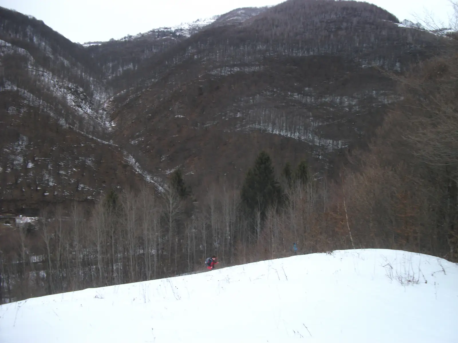 Maguri-Racatau - Bulitani - Ghermanesti - Maguri-Racatau