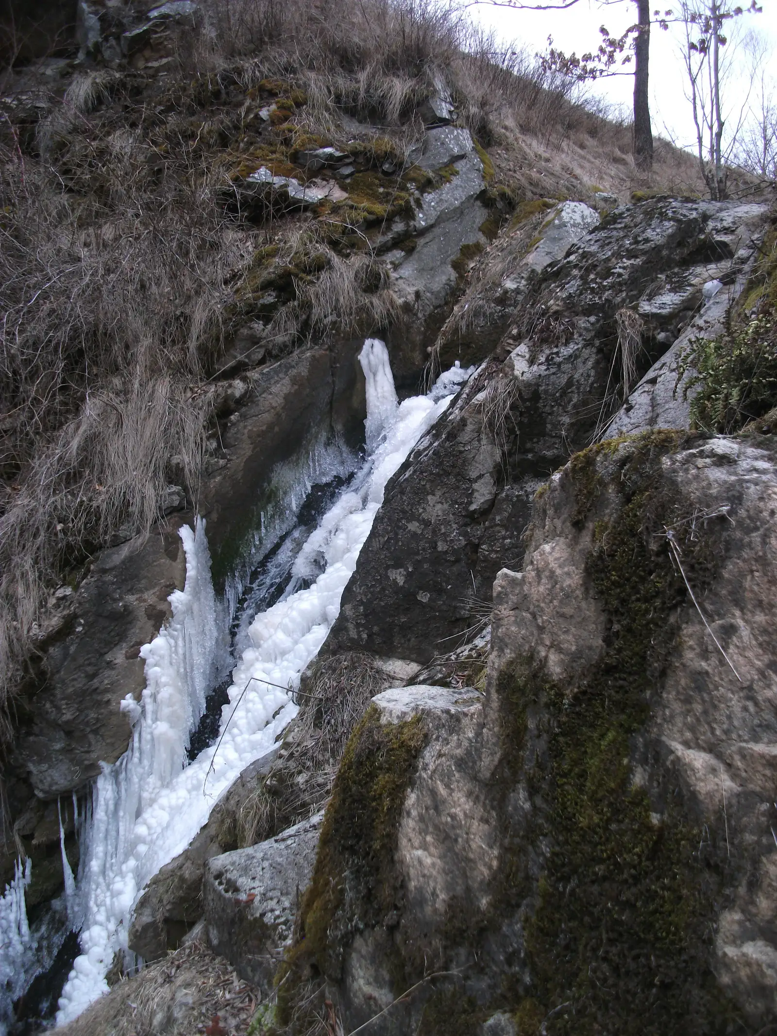 Paniceni - Cascada Paniceni - Paraul Fanatelor - Defileul Capusului - Paniceni