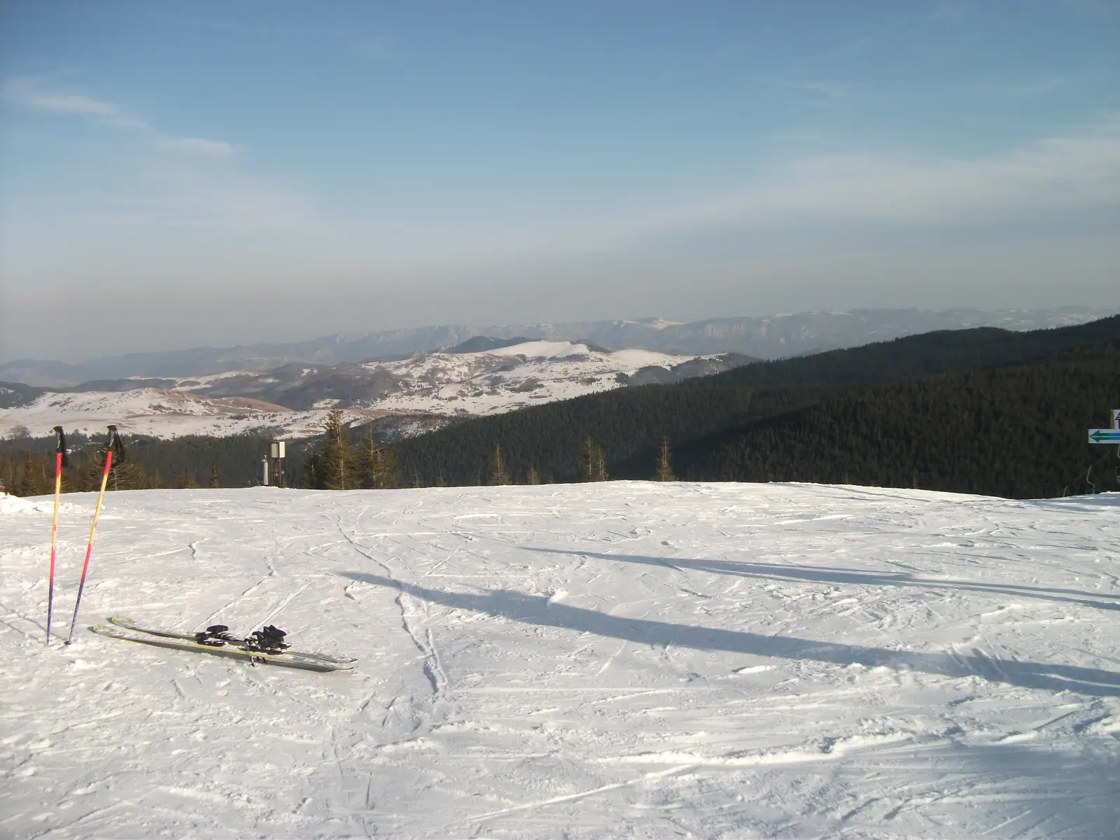 Statiunea Muntele Baisorii - Valea Vadului - Vf. Buscat - Saua La Plopis - Partia Baisoara