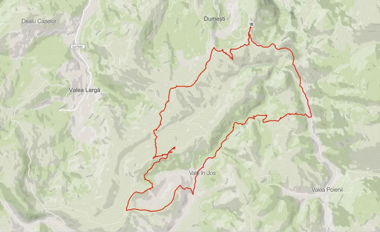 Dumesti-Vale in Jos-Valea Poienii