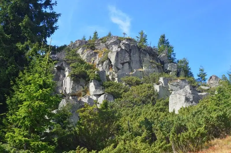 Circuit Piatra Tâlharului și Piatra Grăitoare